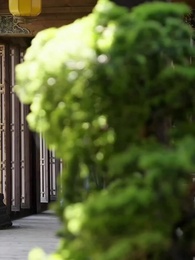 嬌嬌王妃駕到，撩撥王爺臉紅心跳 - Episode 47