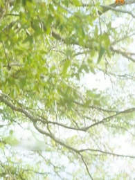 不速之客 - Episode 1