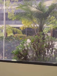 第65集 - 不速新郎