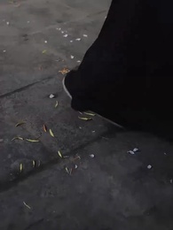 Hear My Mind, Save My Fate - Episode 46