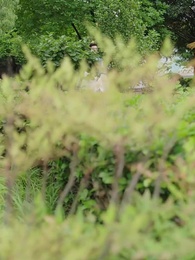 第16集 - 毒妃嫁到