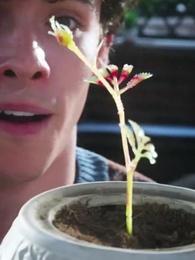 不速之客 - Episode 43