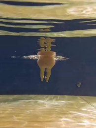 Episodio 4 - La Ignorada y la Consentida