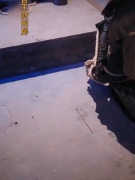 第29集 - 不負春和景寧