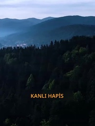 Bölüm 37 - Alfa Reddedip Hamile Kalmak