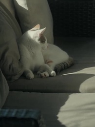 不速之客 - Episode 67