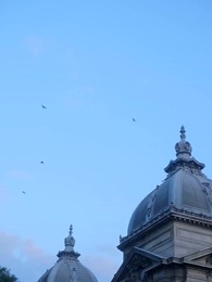 Bölüm 54 - Alfa Reddedip Hamile Kalmak