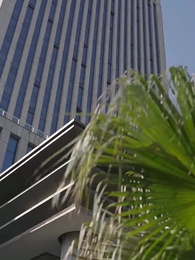 Bölüm 80 - Eski Kocamdan İntikam