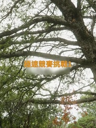 不速之客 - Episode 18