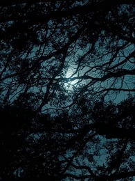 不速之客 - Episode 90