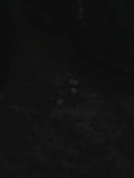 傅少的落跑嬌妻 - Episode 168