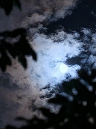 A Tímida e Seus Alfas - Episode 22