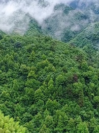 Episódio 56 - A Tímida e Seus Alfas