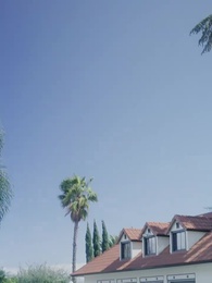 Bölüm 12 - Milyarderin Taşıyıcı Eşi