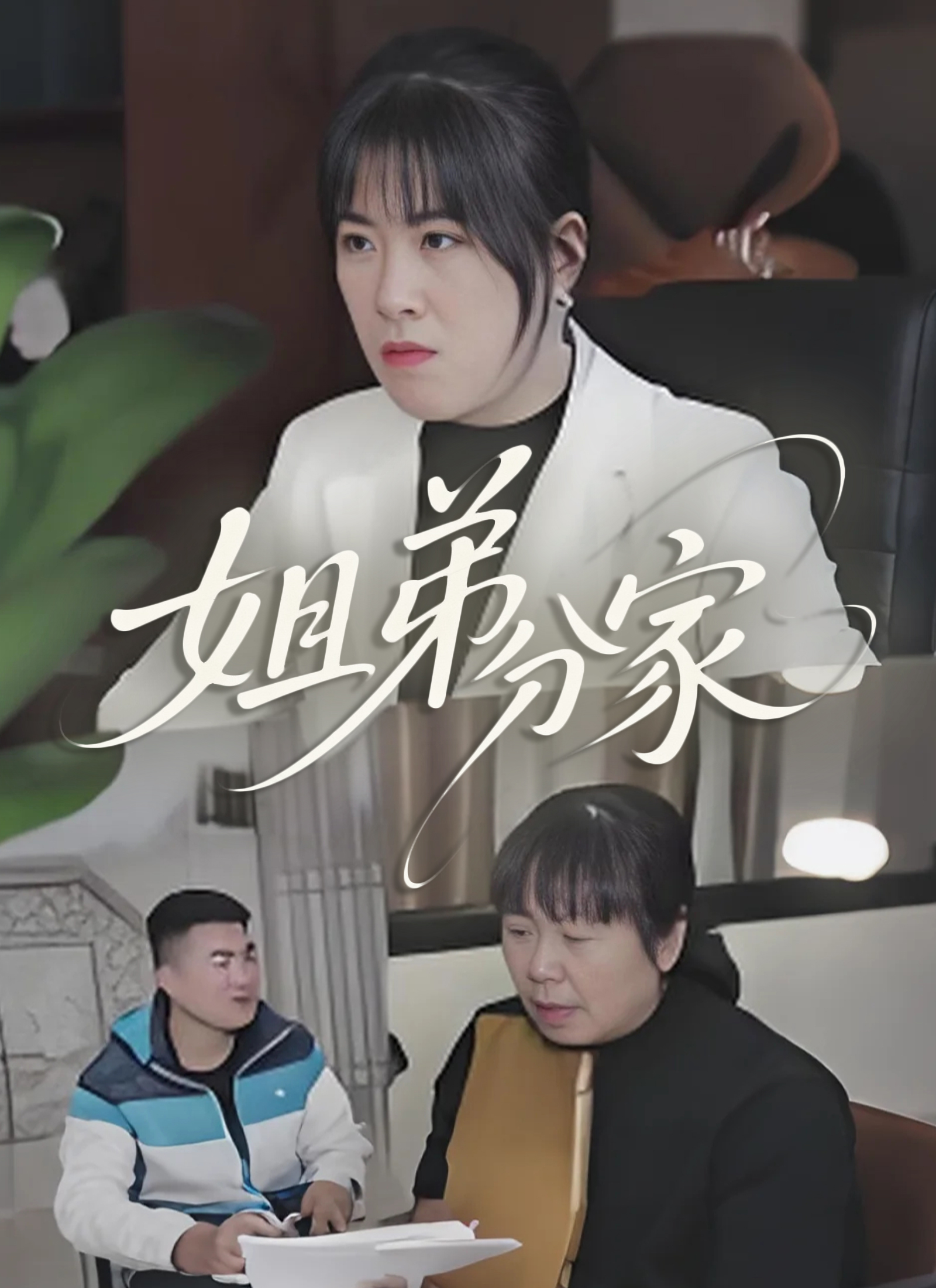 《姐弟分家》封面