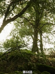 第68話 - 番から始まる愛