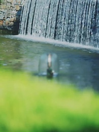 A Tímida e Seus Alfas - Episode 90