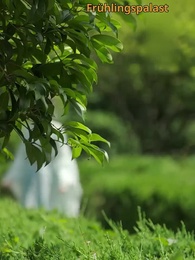 Der vergessene Prinz und die verborgene Sklavin - Episode 23