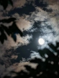 Episódio 94 - A Tímida e Seus Alfas