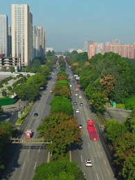 Episódio 42 - A Tímida e Seus Alfas