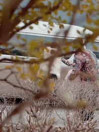 Bölüm 12 - Engellerin Ardından Sana Aşkımı Fısıldıyorum