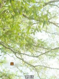 第1話 - 番から始まる愛