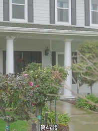 番から始まる愛 - Episode 47