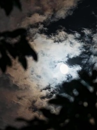 A Tímida e Seus Alfas - Episode 93