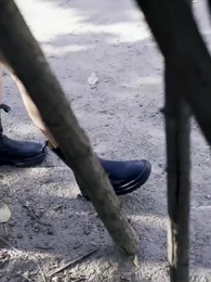 都市最強狂兵 - Episode 61