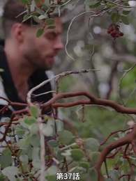 第37話 - 番から始まる愛