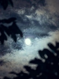 Episódio 79 - A Tímida e Seus Alfas