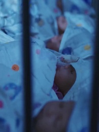 Episode 3 - [Dubbed]My Quintuplets Have Four Dads