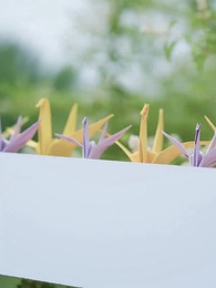 Tập 58 - Món Quà Cuối Cùng