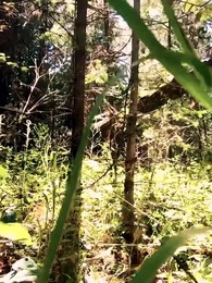 第34集 - 拒嫁前夫:追妻火葬場