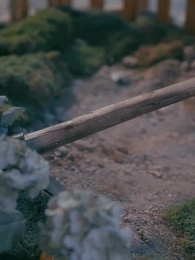 第8集 - 天降暖暖照柳時