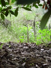 醫道神婿 - Episode 58