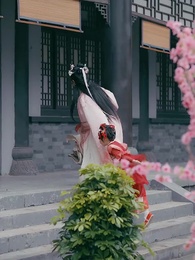 第4集 - 天降暖暖照柳時