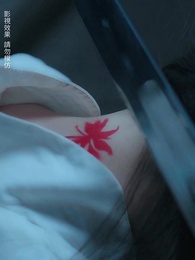 第12集 - 只恨深情不識鳶