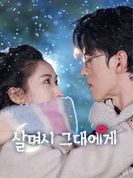 살며시 그대에게