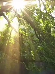 天降暖暖照柳時 - Episode 47