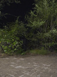 第53集 - 巔峰狂醫