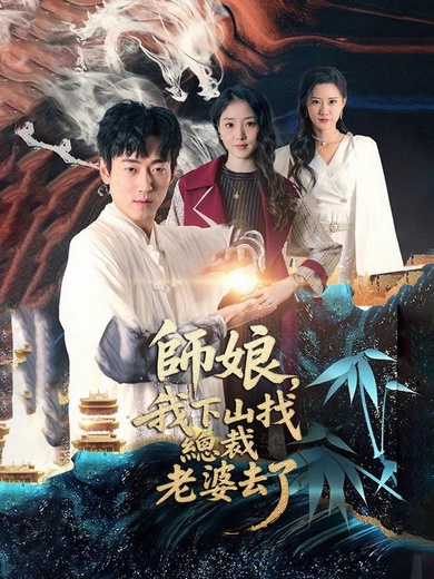 師娘，我下山找總裁老婆去了