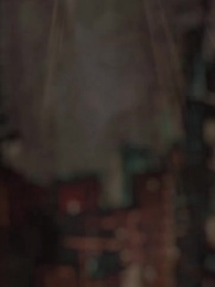 第21集 - 超級贅婿之葉家風雲