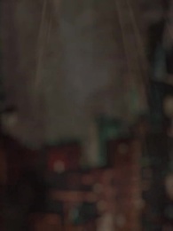 第19集 - 超級贅婿之葉家風雲