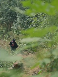 第56集 - 巔峰狂醫