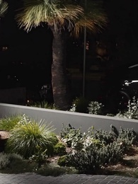 第45集 - 離婚後,接手豪門當千金