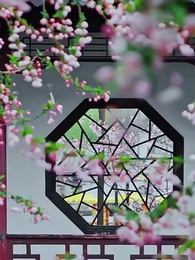 Un Bonheur Incomparable - Episode 25