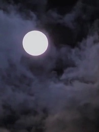 Mein Ehemann ist ein närrischer Prinz? - Episode 46