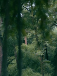 天降暖暖照柳時 - Episode 15