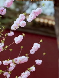 Bölüm 7 - Yıldız Avcısı